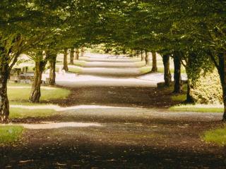 Hotel de L'Abbaye Le Tronchet - Handwritten Collection - 8