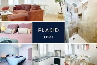 Le Central - 6 voyageurs en hyper centre-ville avec wifi - Reims - 9