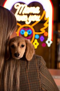 Mama Shelter Dijon - 2