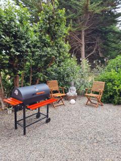 Mini casa de lujo en El Pangal una experiencia - Cáhuil - 3