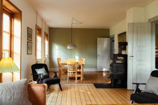 Cattle And Wild Horses At Påøgård Skovsgaard - 1