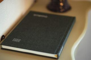 Cattle And Wild Horses At Påøgård Skovsgaard - 2