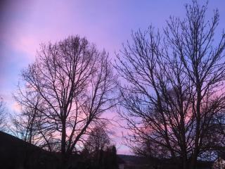 Gîte Les Aires de la Carline - 1