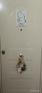 The white cat - Naples - 9