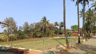 PARV Farms - 4