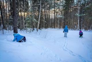 Stratton Ski Haus, Green Mountain Wellness Retreat, Hot Tub & Barrel Sauna - 6
