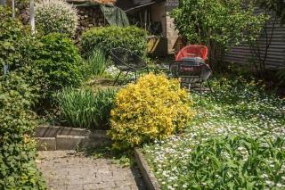 Brody Apartments - gemütlich wohnen nähe Büdingen - 5