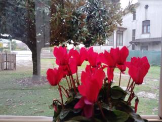 Room Bed Boat Cottage - 7