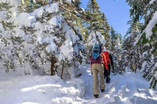 Waterfront with Spa and Lake Access - 7