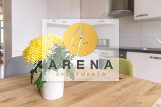 arena guest studio - 0