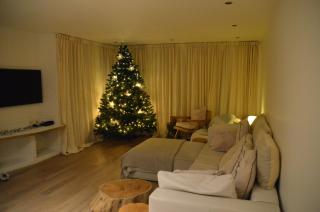 Vakantiehuis van Damme tot duin - 8