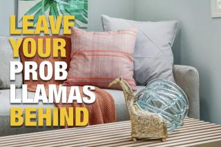 The Cutest Condo in Canmore and Banff - 9