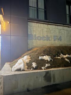 Gudauri Block F4 - 6