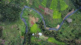 Tea-farm cottage by Aberdare forest river - 2348 - 8