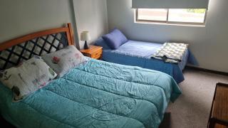 Delpinopropiedades 5 Norte Veracruz, sector Poniente de Viña - 7