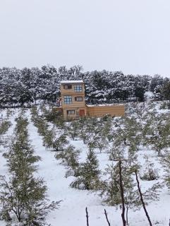 AYA Farm,Ferme d'hotes Aguelmous - 7