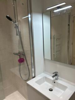 Appartement hypercentre avec balcons - Chambéry - 2