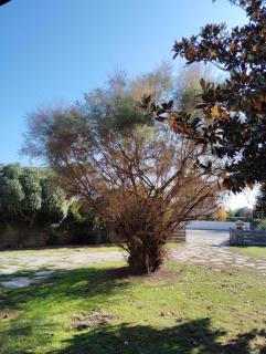 Room Bed Boat Cottage - 7