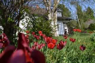 Ferienwohnung Seeliebe - 5