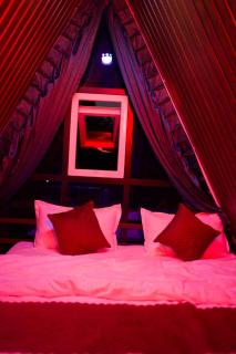 Parijatha Glass Cottage - 6