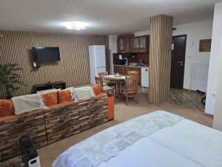 TMF Mountain Lodge Cozy Studio apartment - 7