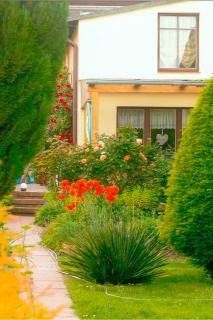 Ferienwohnung am Malchower See - 1