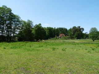 Ferienhaushälfte zum Plauer See - 2