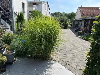 Wohnung in Malchow - 1