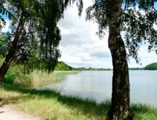 Ferienhaus nahe der Müritz - 1