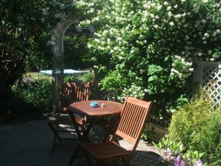 Ferienhaus Mecklenburgische Seenplatte - 9