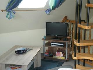 Ferienhaus Mecklenburgische Seenplatte - 4