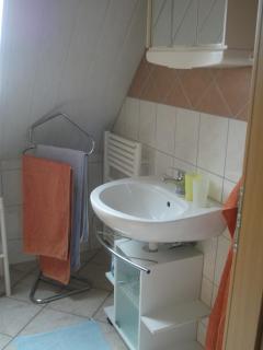 Ferienhaus Mecklenburgische Seenplatte - 1