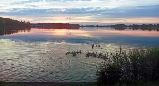 Ferienhaus Sonne - 7