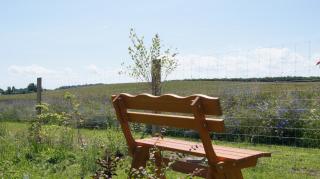 Ferienhaus Sonne - 3