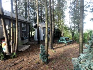 Cute Cozy Tiny House Surrounded by Trees for Unique Couples Escpe in Mt Forest, Ontrio - 5
