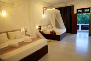 Urban Tide Dickwella - 7