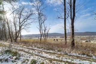 Roaring Spring Horse Farm Getaway with Game Room - 9