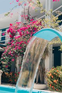 Pousada Recanto Porto de Galinhas - 2