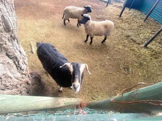 Ocean View Beach House in Maitencillo - 5