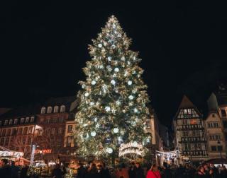 BUDA Lodge 4 Alsace Eurométropole Strasbourg - 1