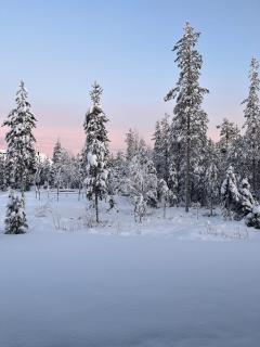 Villa Aurora Noir - 1