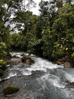 Cloud Forest Villas- Eco Lux - All Inclusive - 6