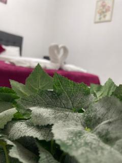 Panda Rooms - Maribor - 5