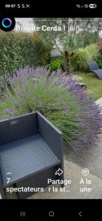 Chambre chez habitant - 6