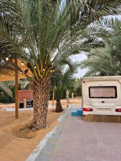 RV Palm Oasis - 9