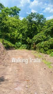 Mountain of Glory - 6