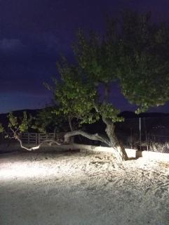 El Refugio de Hugo - Benablón - 1