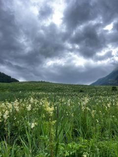 La Tavernetta di La Thuile - 5
