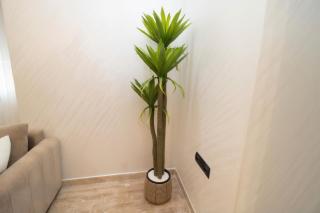 Magnífico apartamento - 8