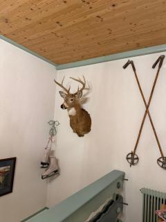 Landhaus Schönblick - 6